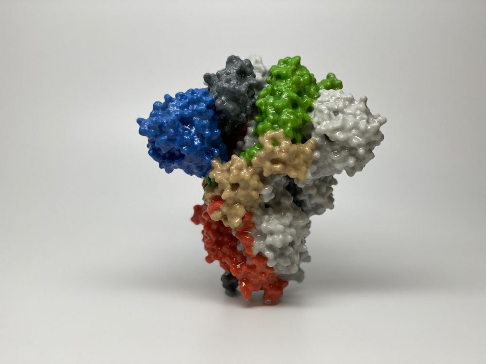 La protéine clé du SRAS-Co-2